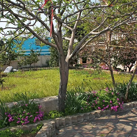 Lejlighed Grebastica 4882e