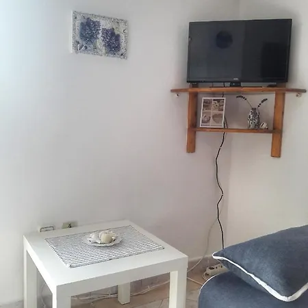 Grebastica 4882e Baselovici