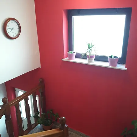 Grebastica 4882e Baselovici